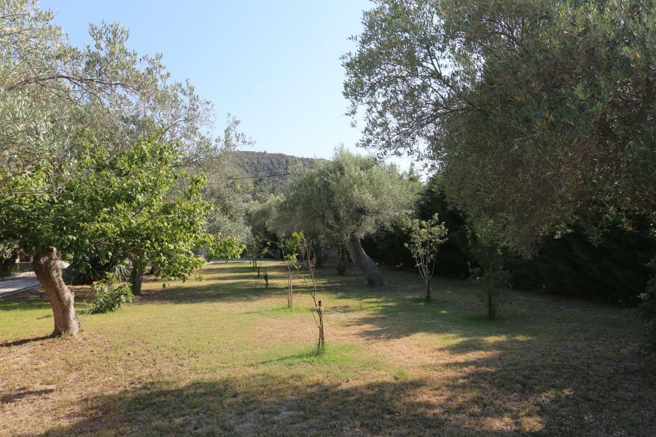 פפקוהורי Villa Argo 3 - Beachfront, Big Gardens, Location! מראה חיצוני תמונה