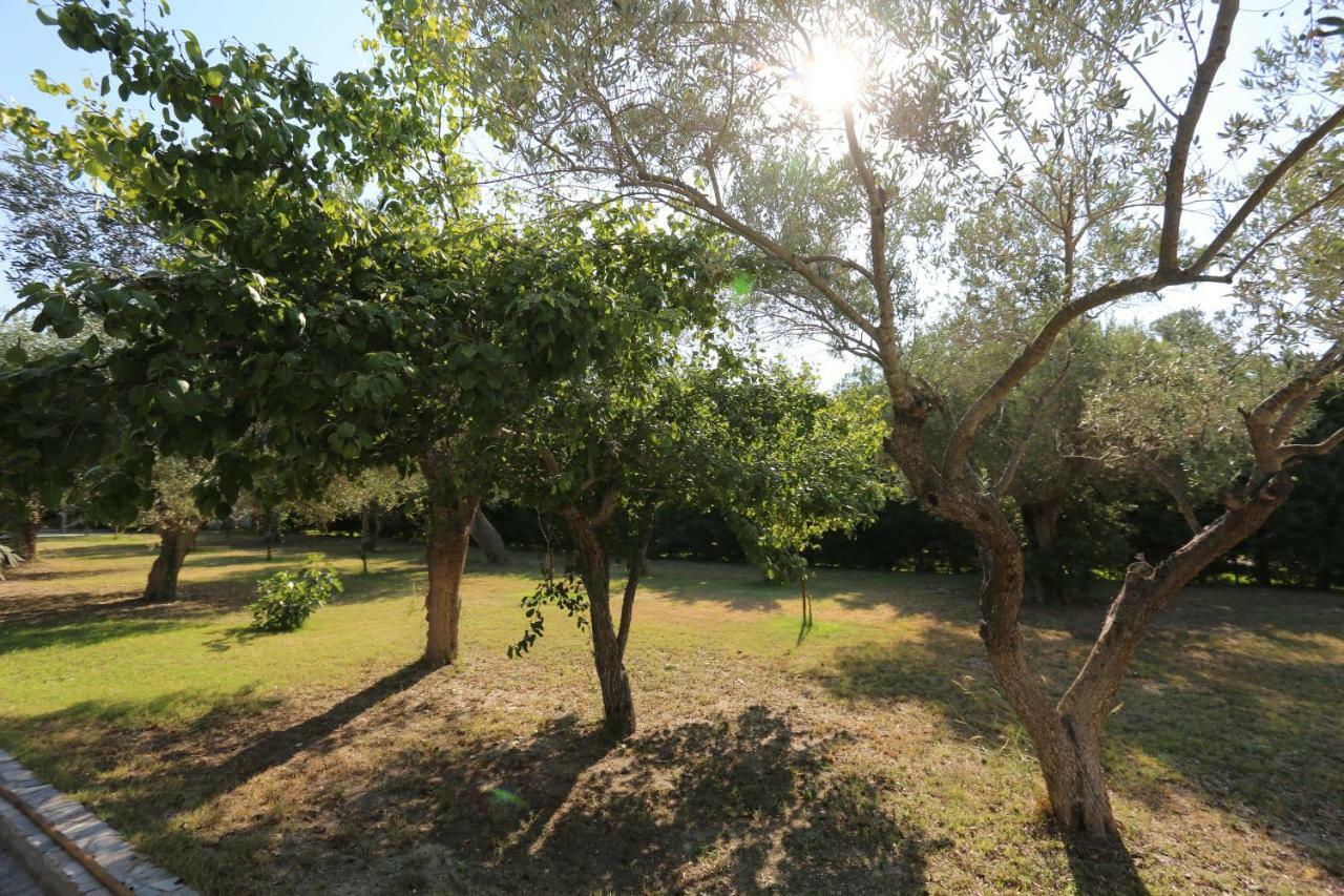 פפקוהורי Villa Argo 3 - Beachfront, Big Gardens, Location! מראה חיצוני תמונה